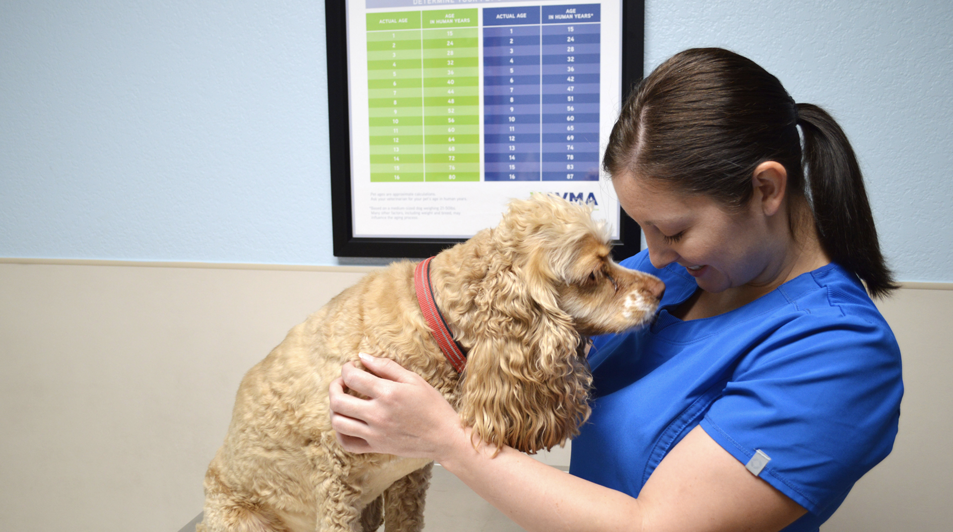 Welcome to St. Petersburg Animal Hospital & Urgent Care - St. Pete, FL
